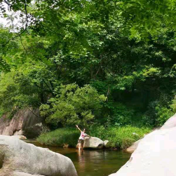 亦能奔赴山海  静待一树花开