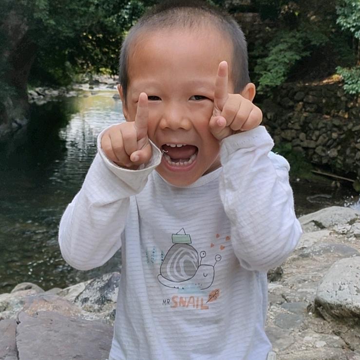 鑫仔Q