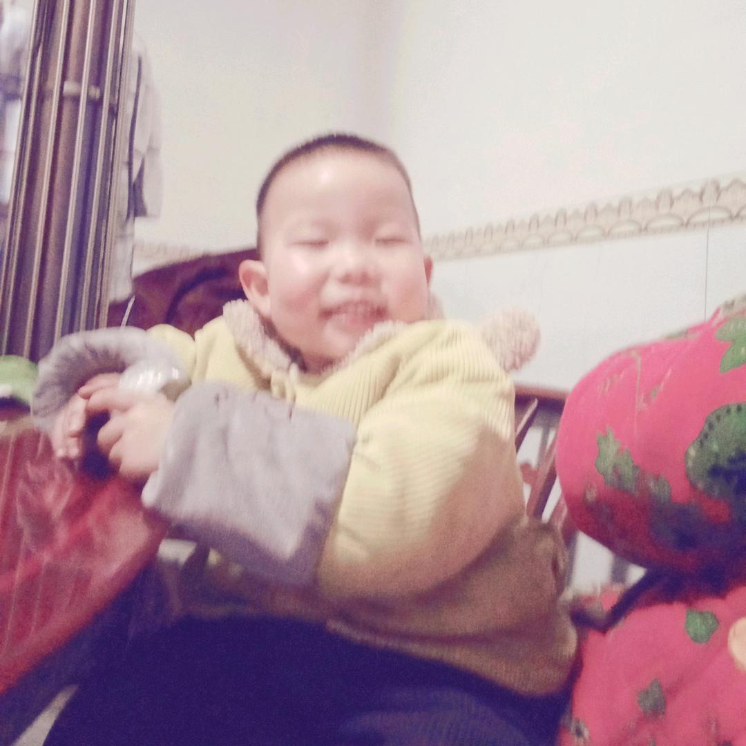 随心所欲