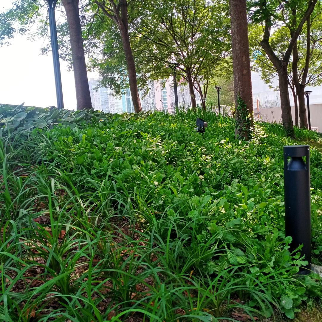 人生何处不相逢