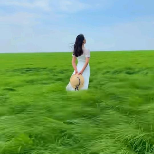 火凤凰