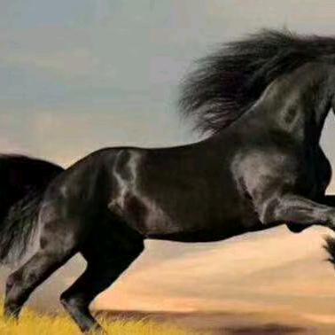 卡车司机小纳哥