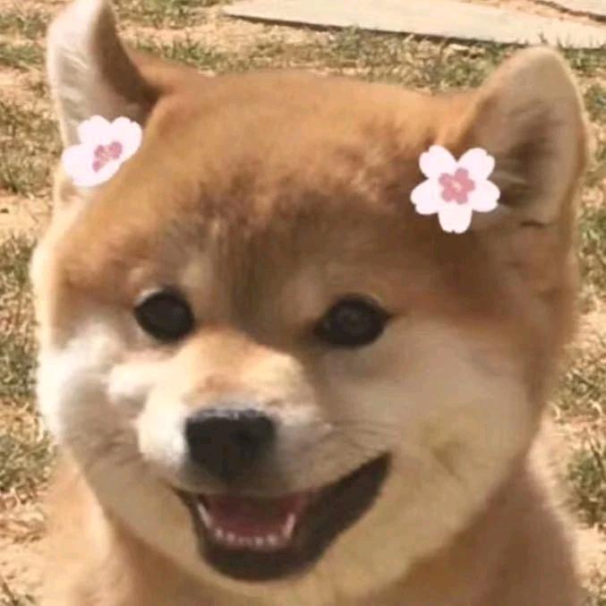 小渝🌼
