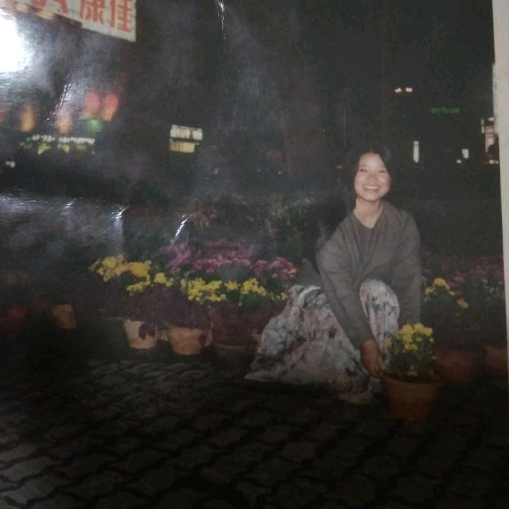 风信子 （无极乐队）