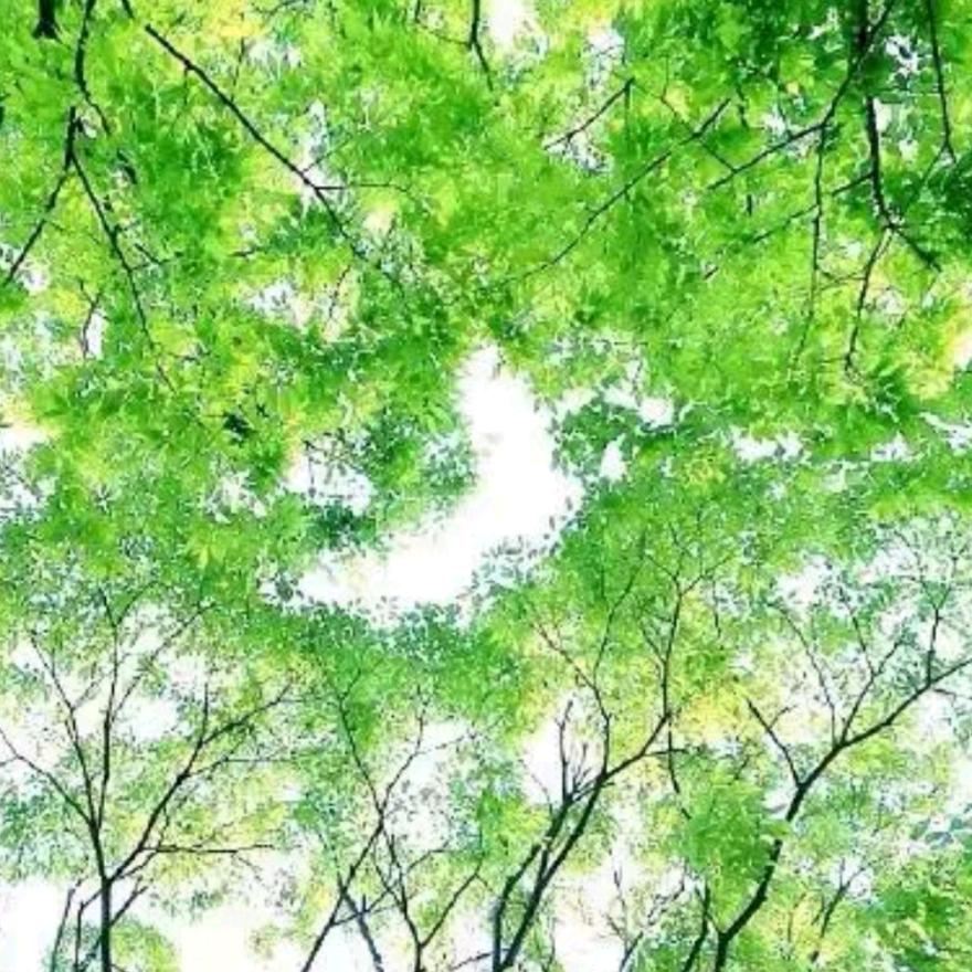 晴天儿曈