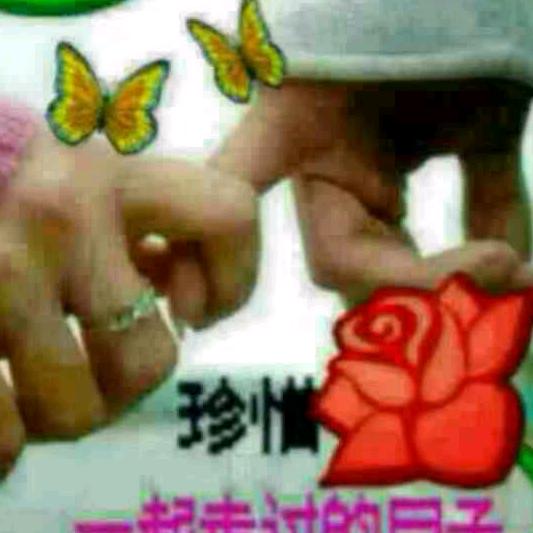 知心朋友