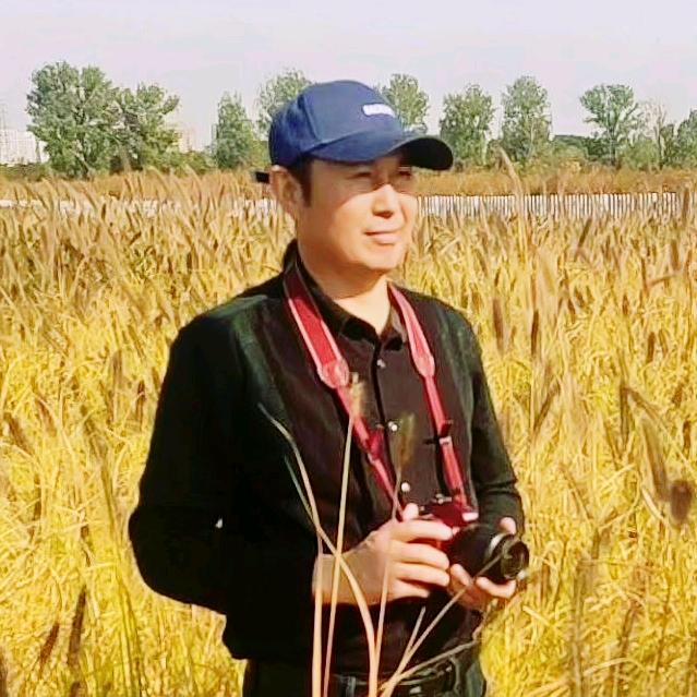 退伍老兵松石