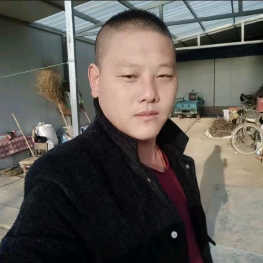 龙哥纯野生甲鱼