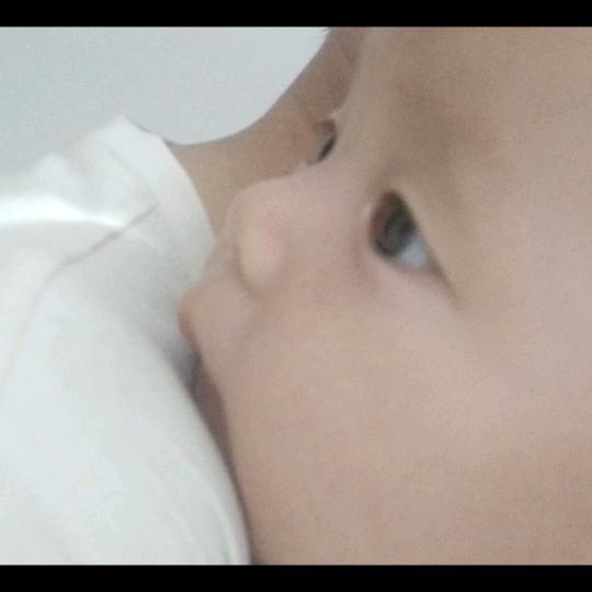 路过的小洋