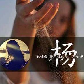 杨师傅开挖机只开神钢机