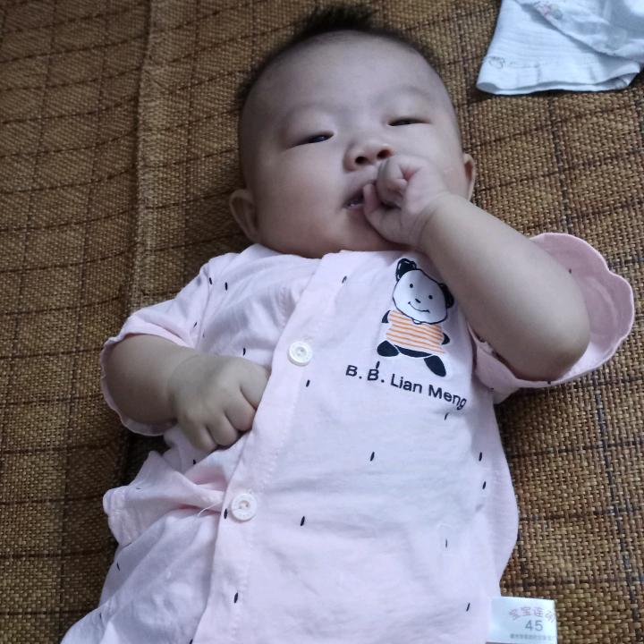 冲宝菲