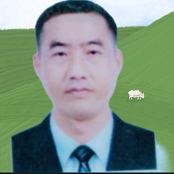 孤酒