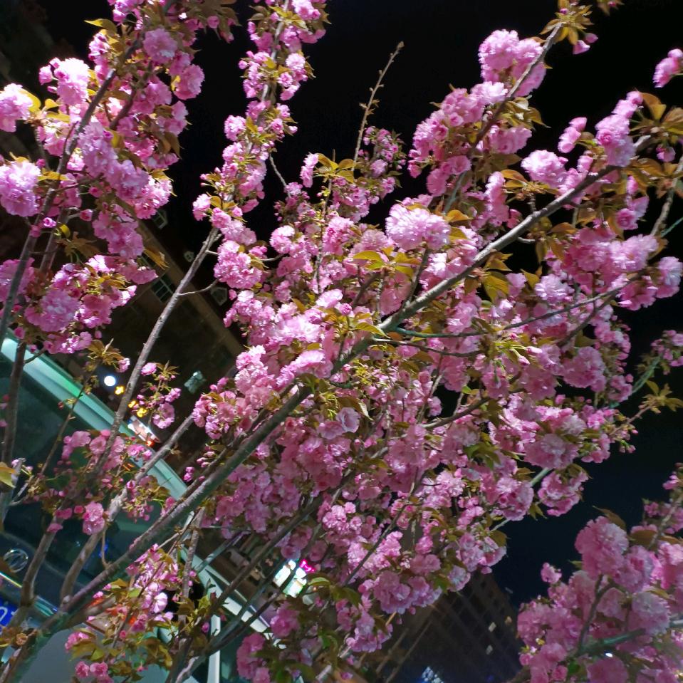 幸福向我招手😄😄