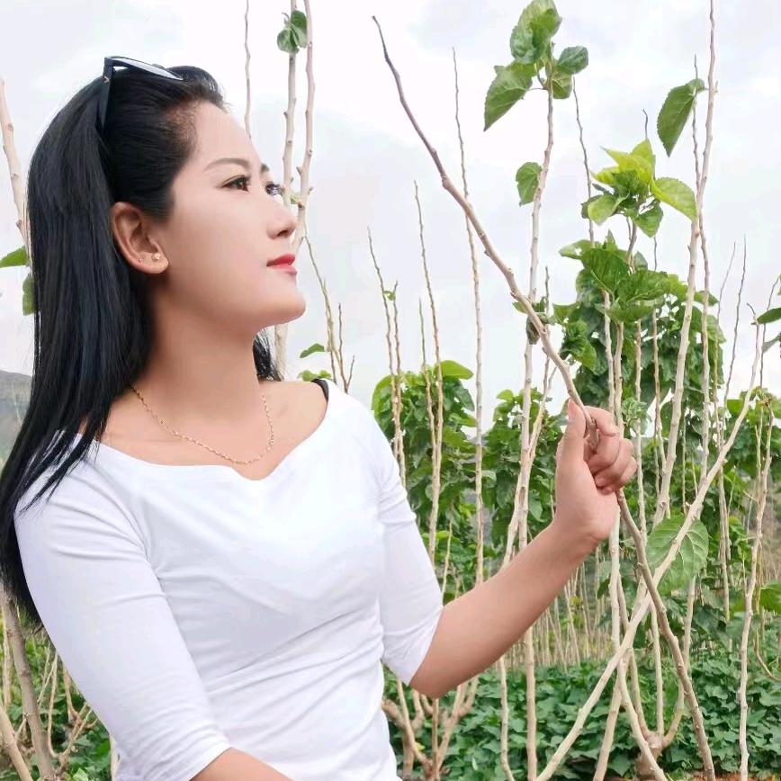 蝶醉酒花间，
