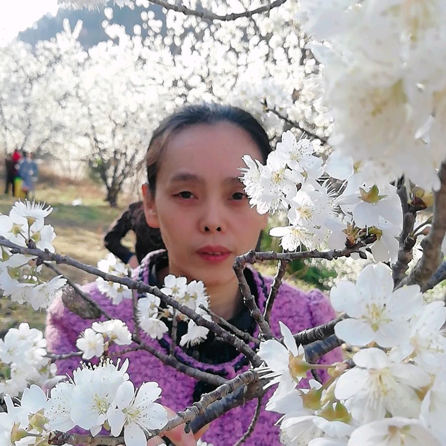 静梦蔷薇