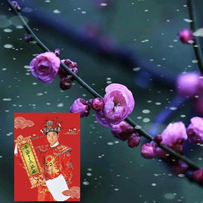 雁齐