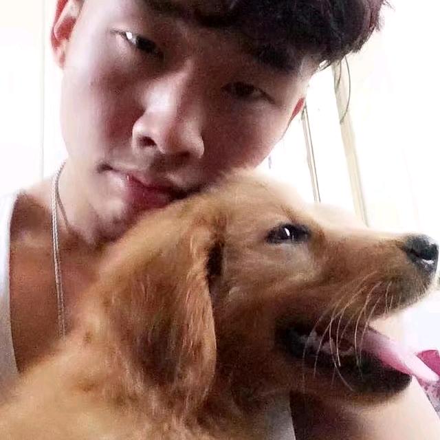 鸭子毛