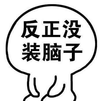 ZL大璐朝天