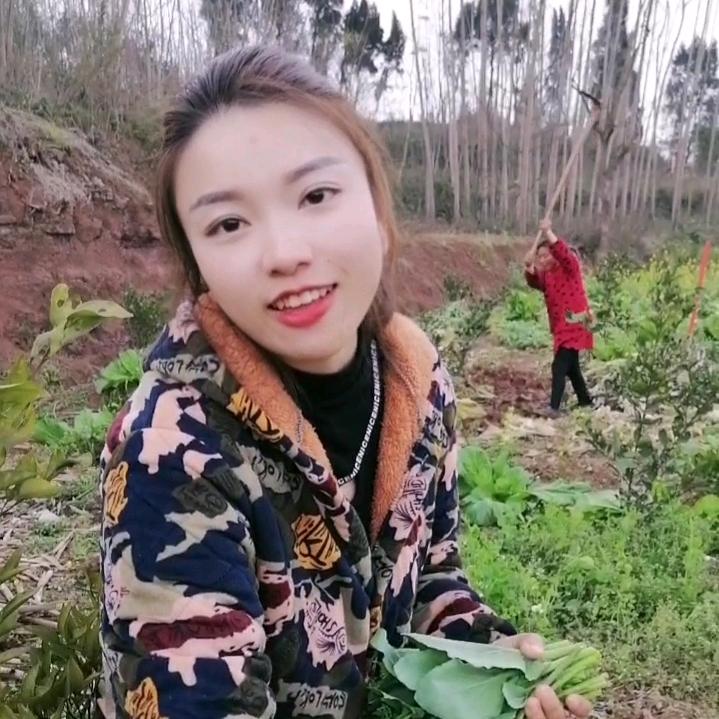 陈萍果