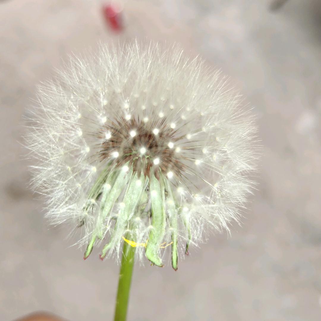风里雨里都有你