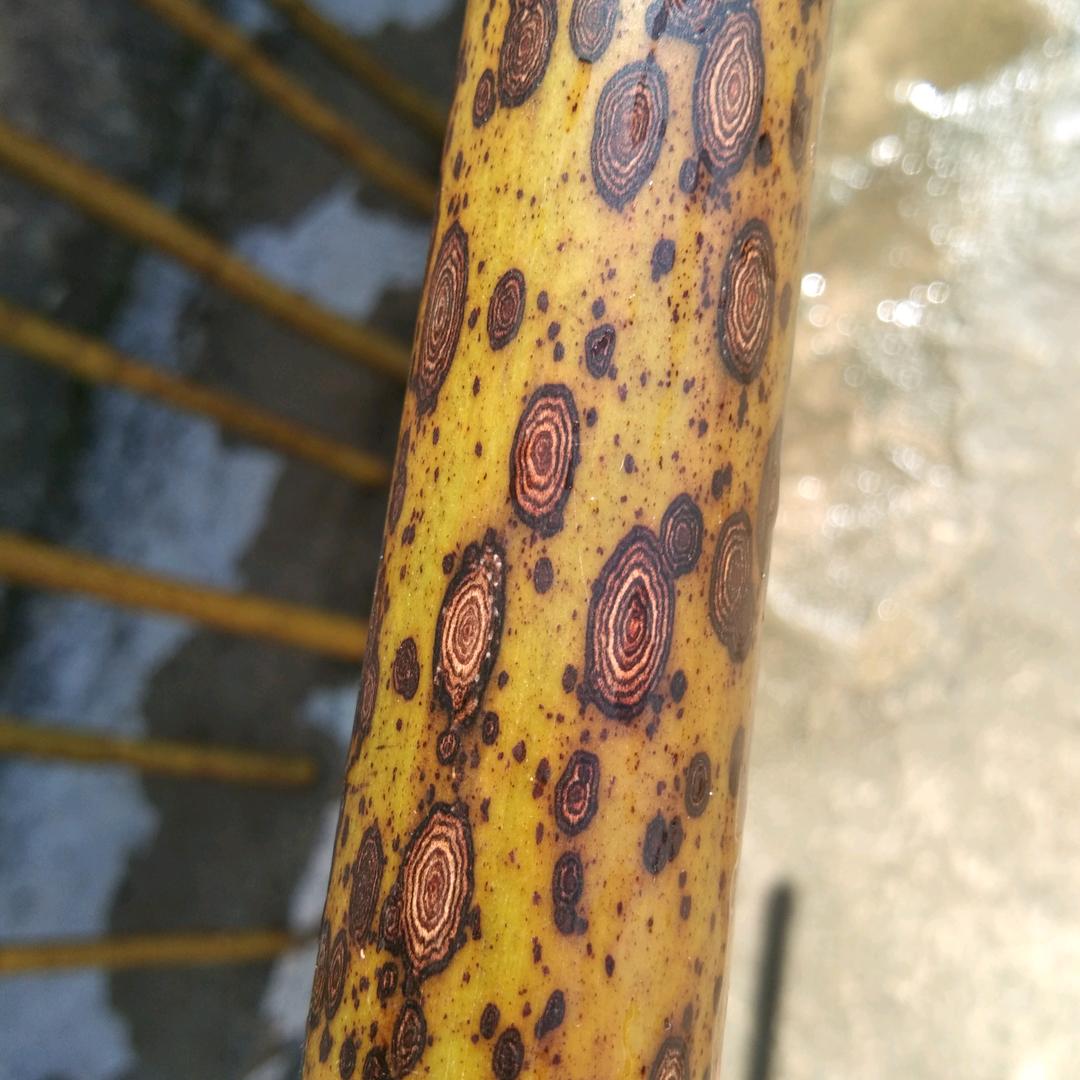 天然花