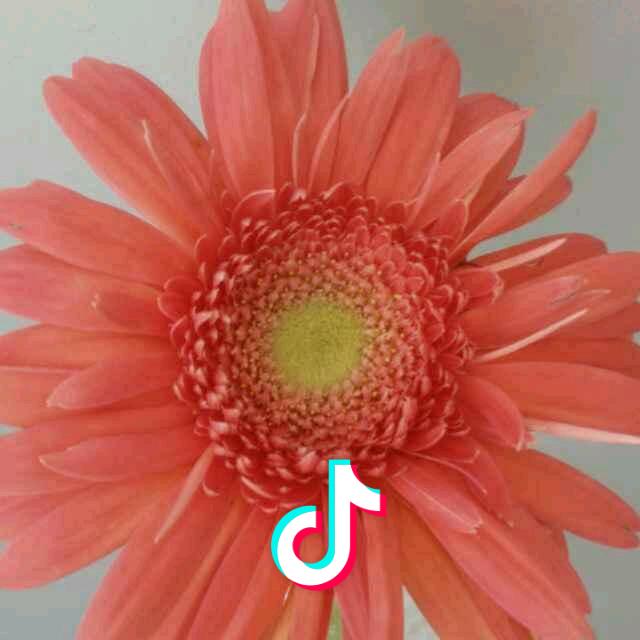 晴天