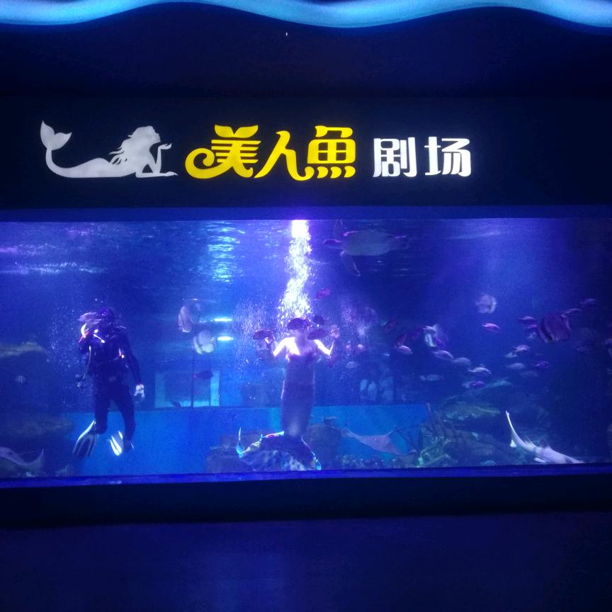果皮爹