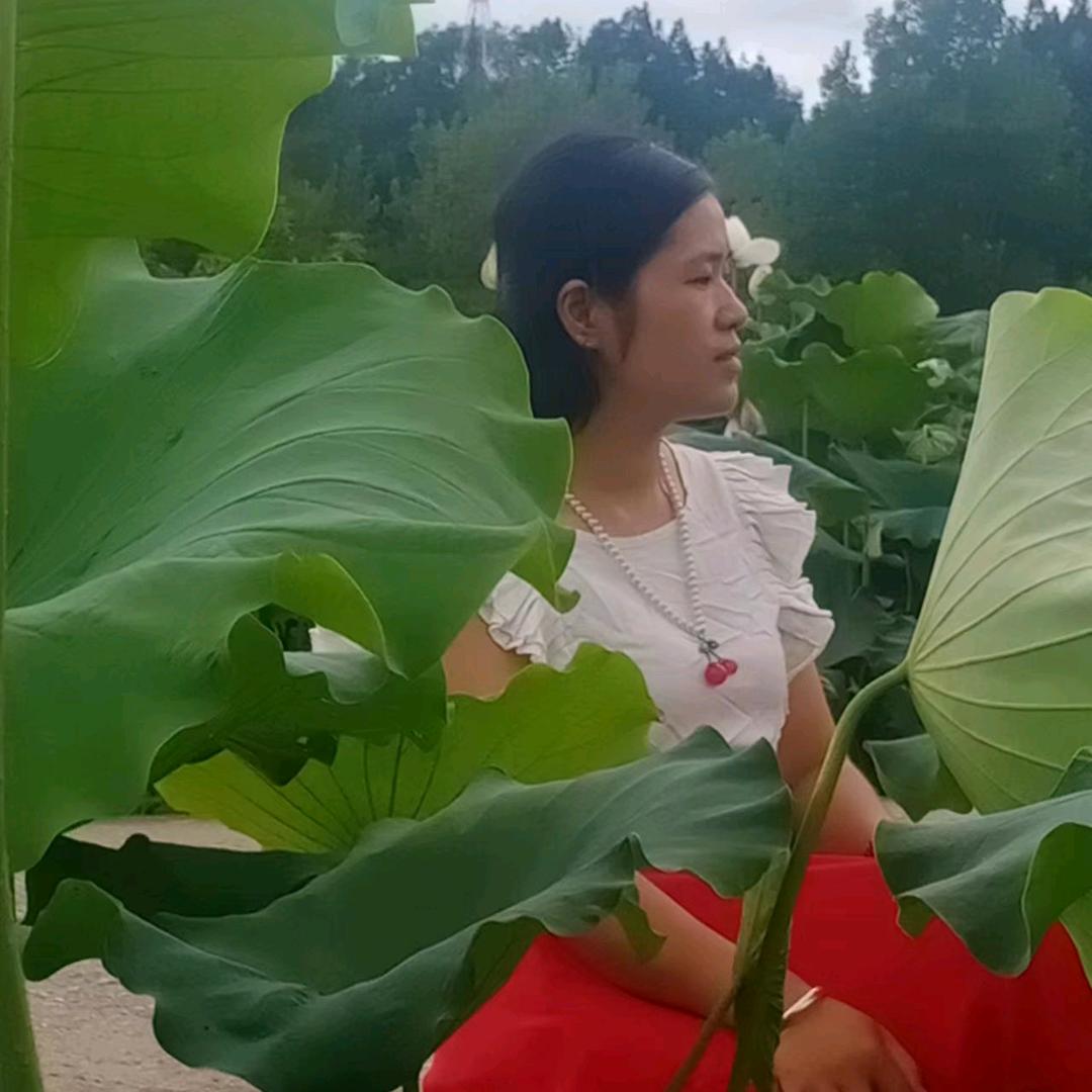 靖州佳运树苗农品店