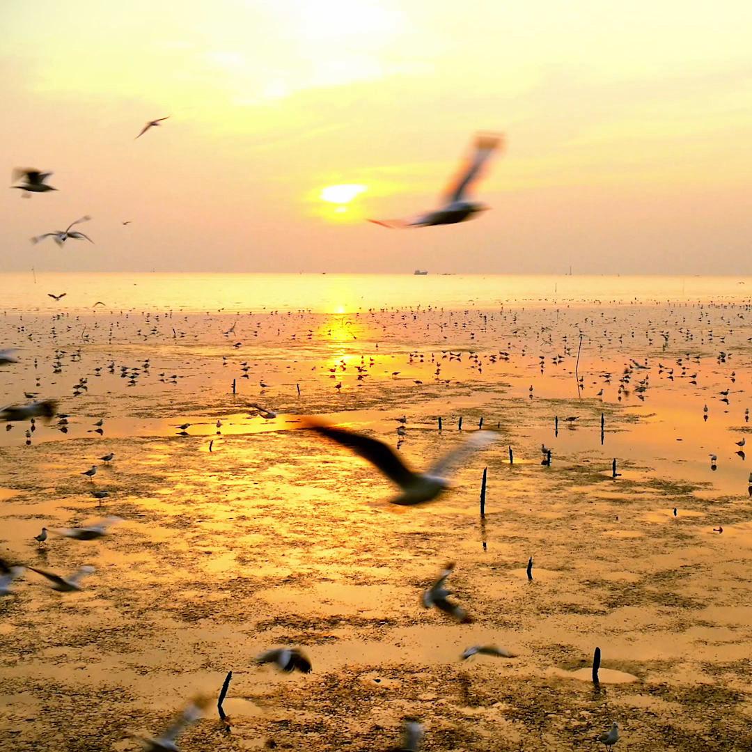 待我强大吃遍天下