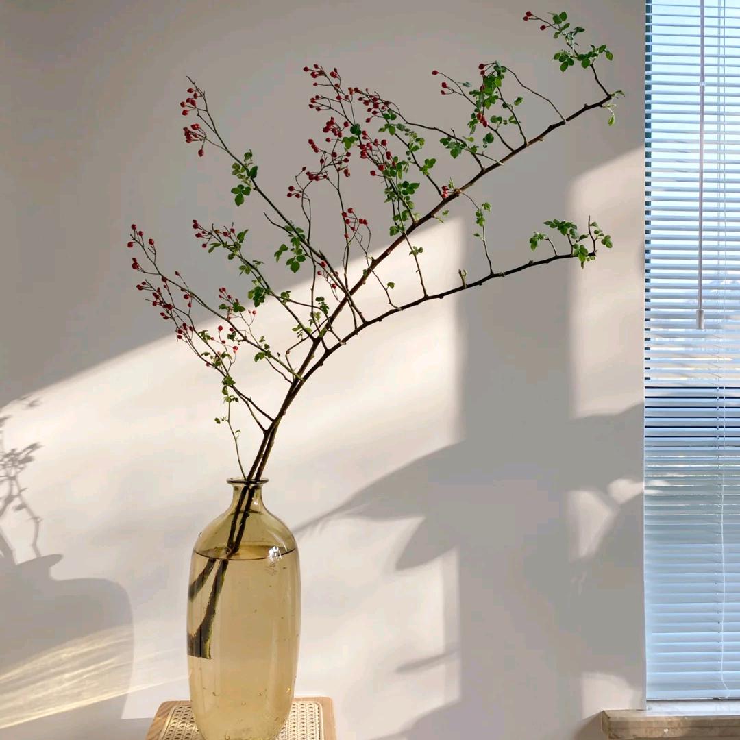 云舒🌱🌱