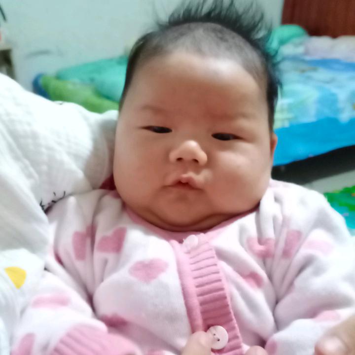 迅鹰