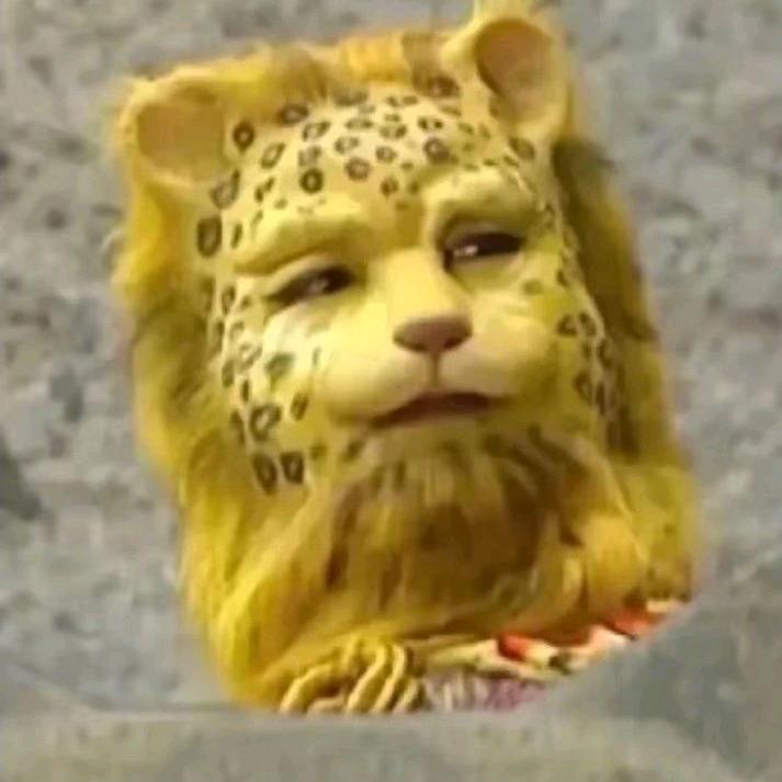 御风行