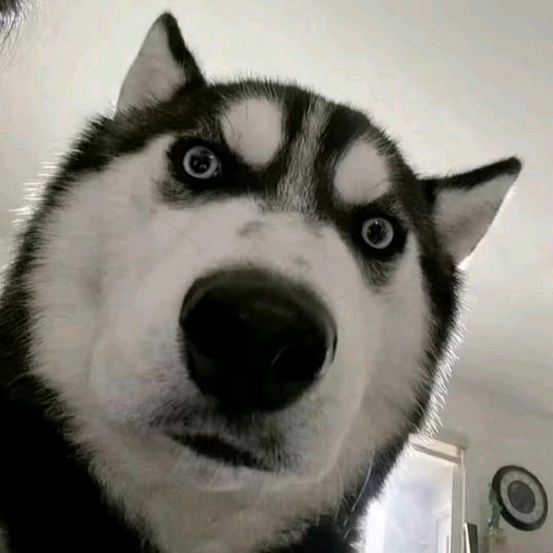 盆鱼宴