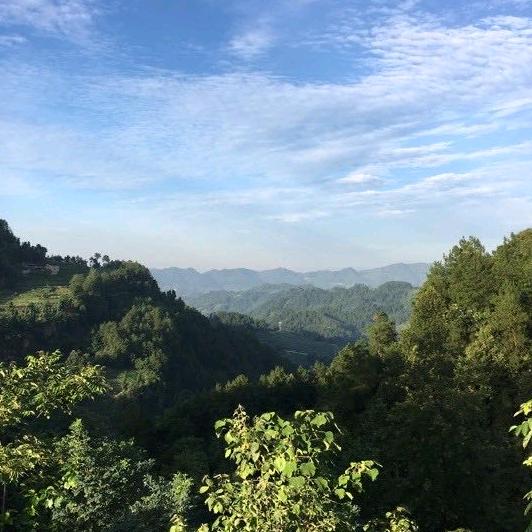 ╰つ゛ 鱤 覺.？