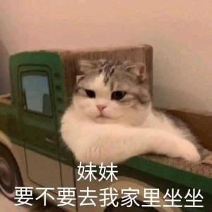 蛋了个黄