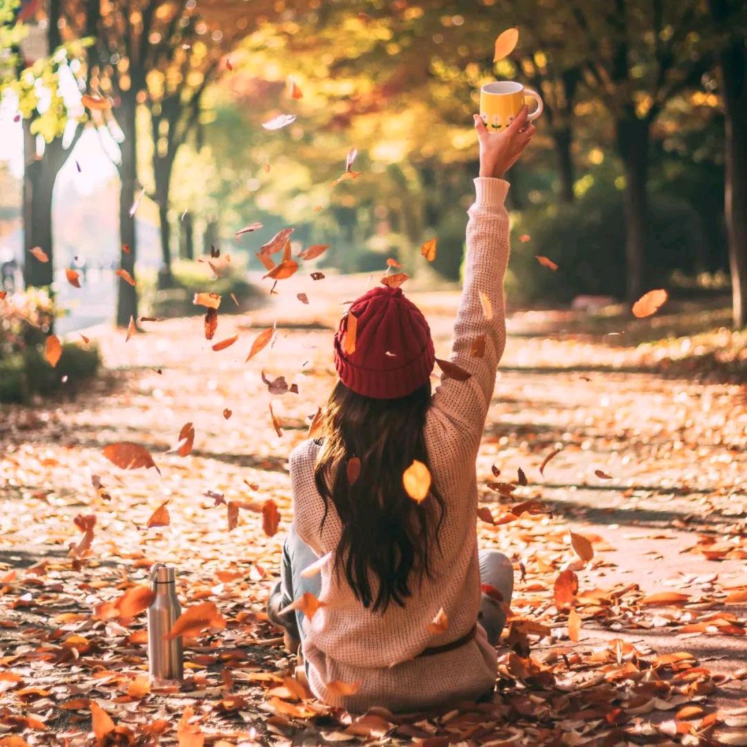 💞ღ᭄🥂花🌹࿐