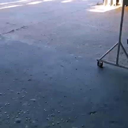 炳淑