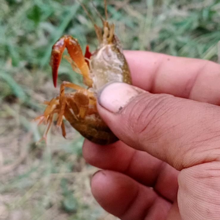 伤心的男人