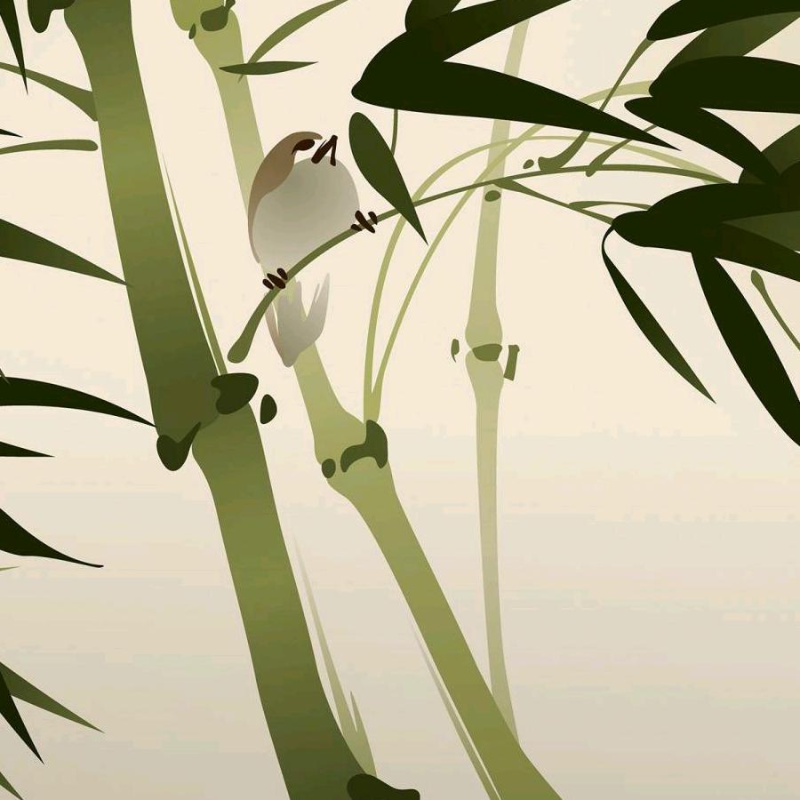 清浅流年悠心阁