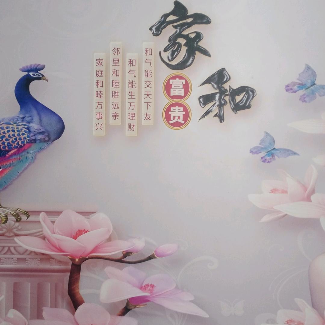 平华$一生