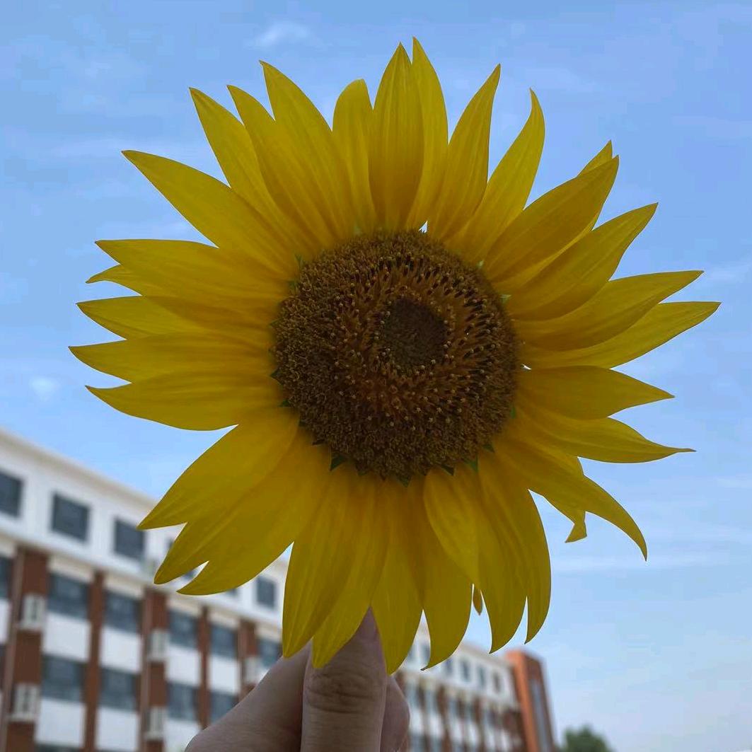 ღ᭄ꦿ꯭上上ঞৣঁ签প᭄᪲