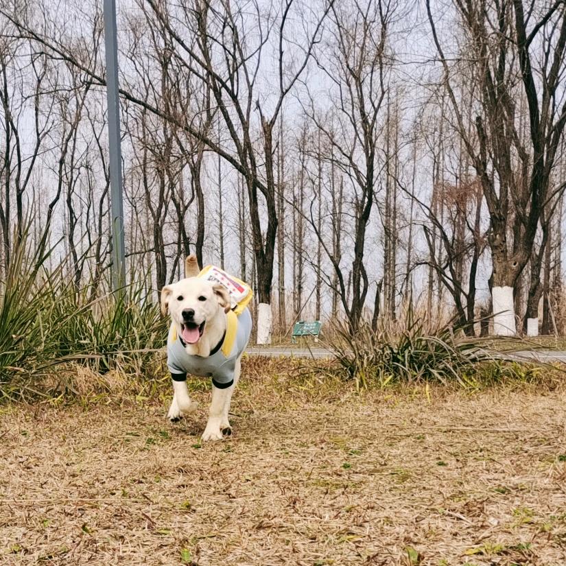 又跟可乐见面咯！