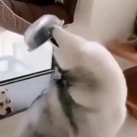 内蒙古石砟研究员