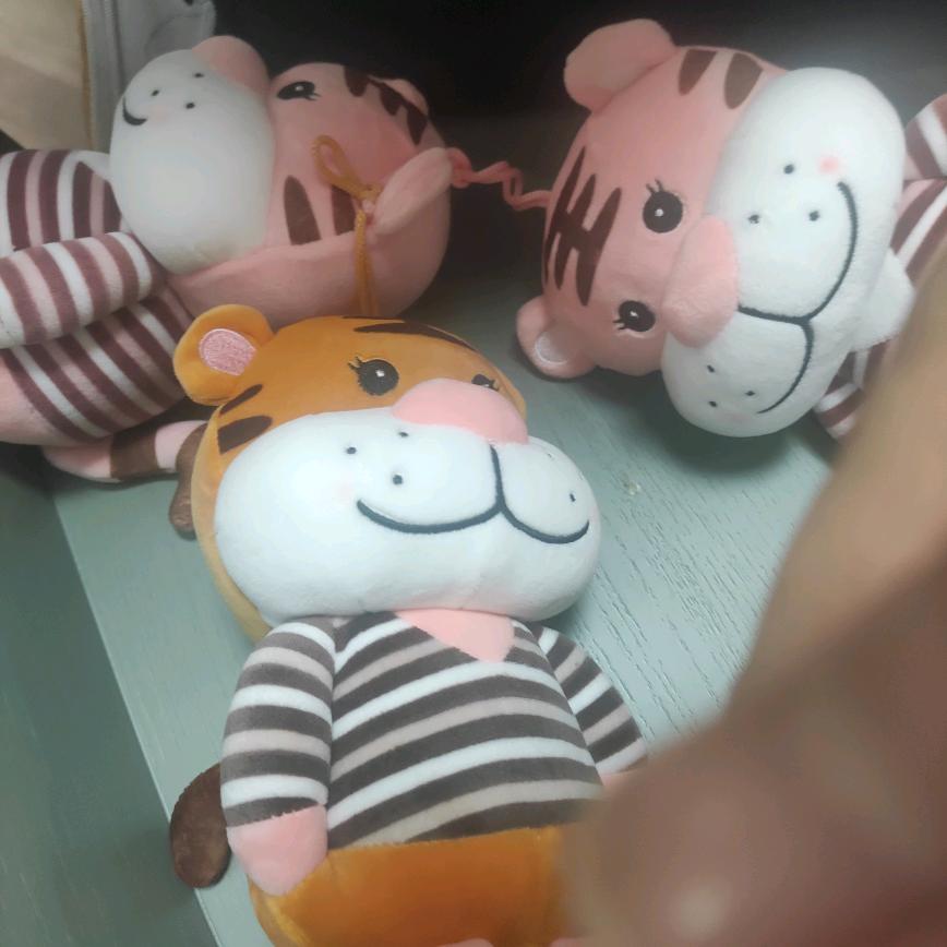 葛珍珍