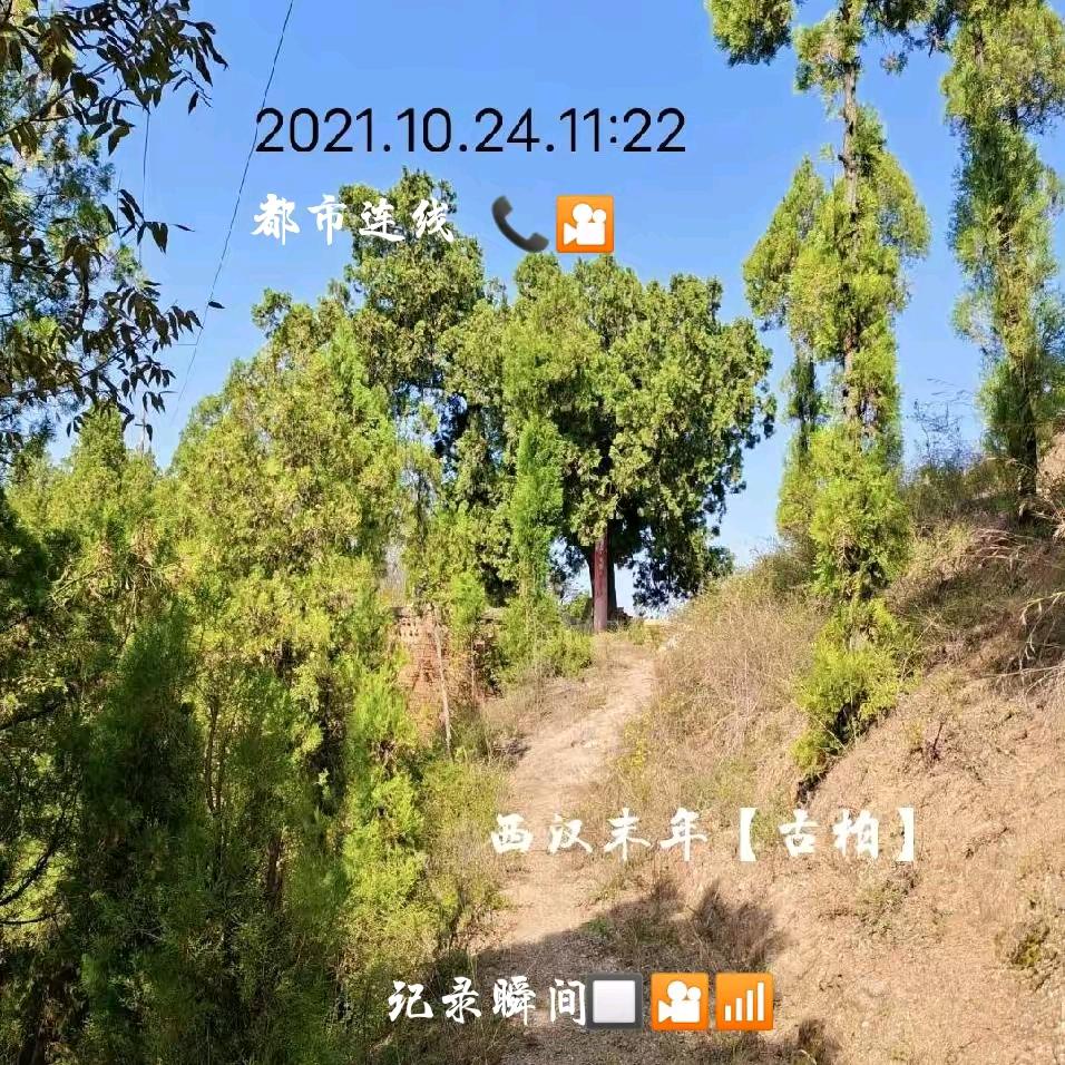 yuW.🔕“谢绝连赞”