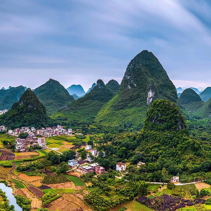 迟来的爰