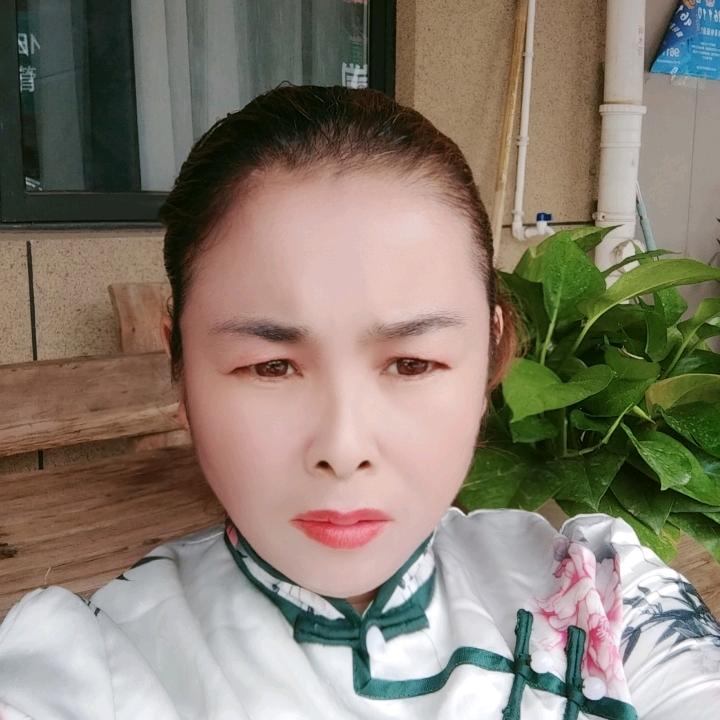 望南飞
