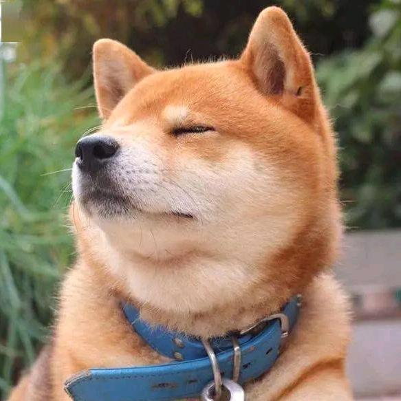 昱弟