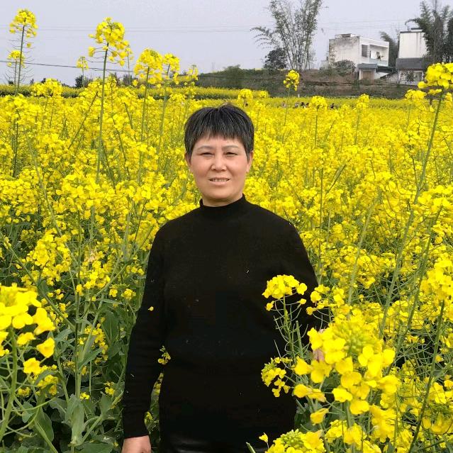 郑姐