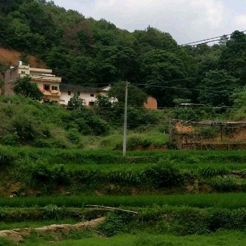 （善待）低调做人